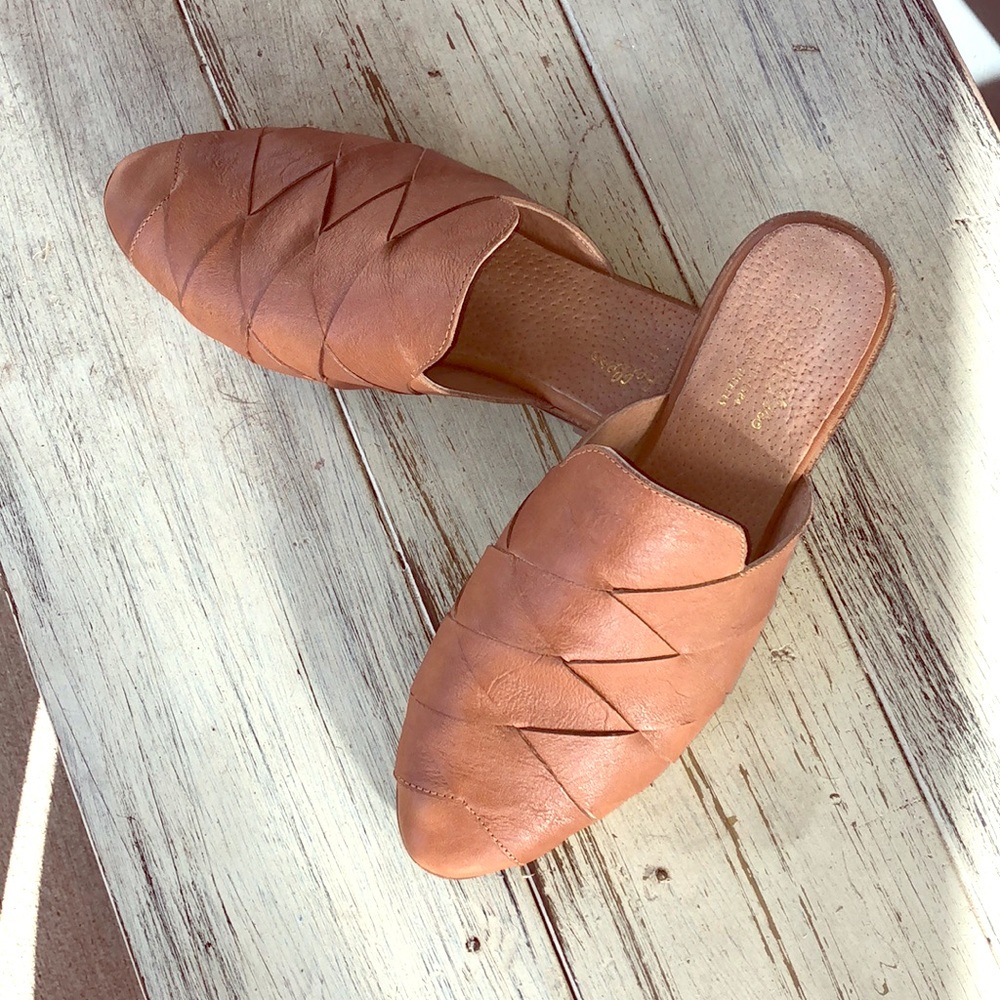 Seychelles survival slides 8.